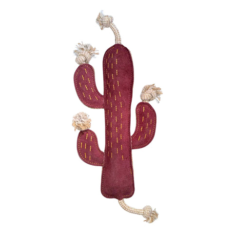 Cactus Dog Toy