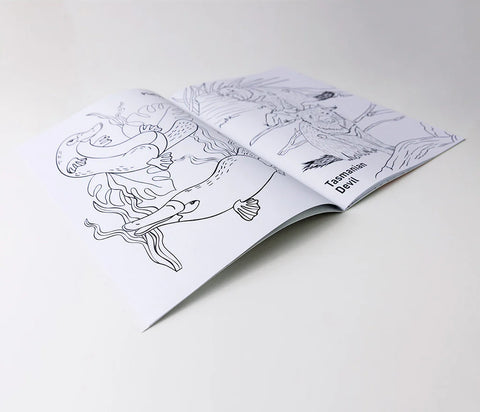 Aussie Animals Colouring Book