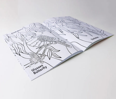 Aussie Animals Colouring Book