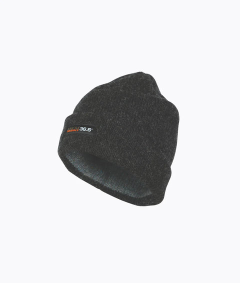 36.6 Beani Coal