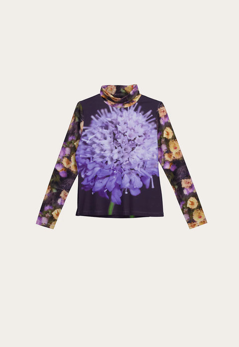 Sundew Skivvy in Allium