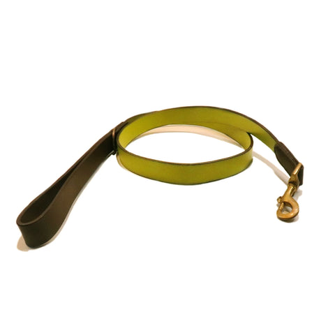 Cooper Dog Lead in Various Colours