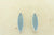 Light Blue Spear Seaglass Earrings